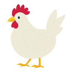 Chicken in flat style. Vector illustration of an animal on a farm