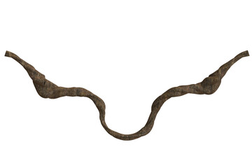 Ornate, curved, dark-colored metalwork