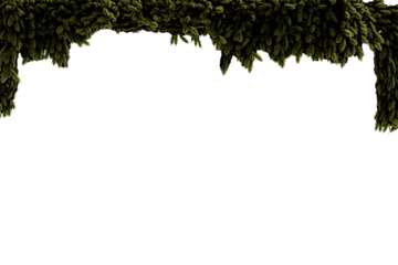 Dark green foliage border, cascading effect