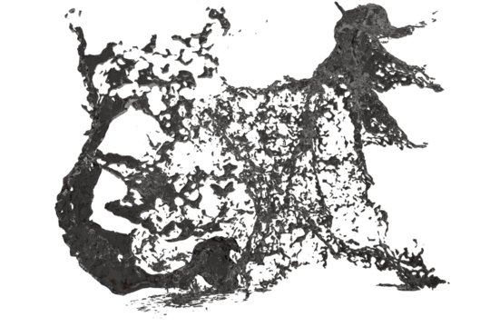 Complex, dark grey, intricate organic shapes with small specks