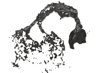 Detailed map of a lake or water body with intricate shoreline features and depth variations