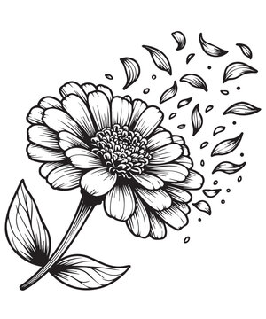 black and white flower with falling petals clip art preview
