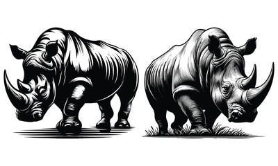 rhino vector illustration