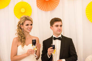 Bride and groom at a banquet at a wedding table, celebration in a restaurant. Toasts for the newlyweds