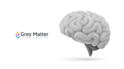Realistic Monochrome Human Brain with Grey Matter on White Background. Perfect for Medical, Science, and Technology Projects. Vector Illustration.
