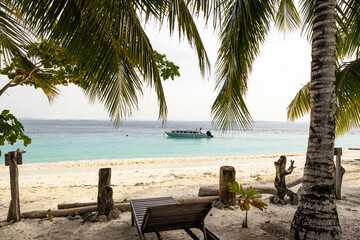 Tropical beach scene in Raja Ampat with boat and palm trees