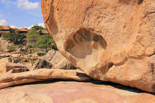 Dragon paw at Hon Chong cape, Nha Trang, Vietnam