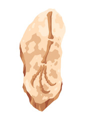 Dinosaur fossil skeleton bones, excavations of archeology isolated. Prehistoric reptile skeletons lying underground. Cartoon paleontological artifact