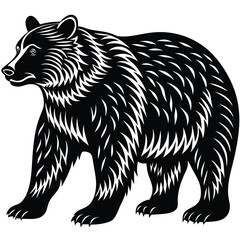 Wild bear vector illustration, a silhouette of a big mammal