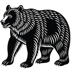 Wild bear vector illustration, a silhouette of a big mammal