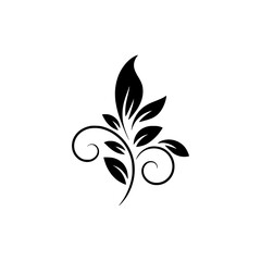 Elegant Black Leafy Swirls on White Background, Decorative Vector Element