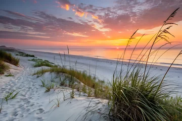  Tranquil Sunrise Beach Scene with Calm Sea and Sea Grass Soft Sand and Warm Sky Colors © IMRAN