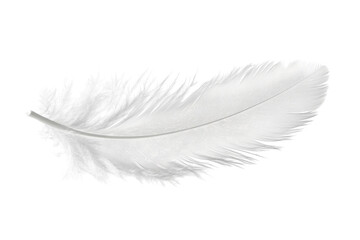 Obraz premium Delicate white feather floats gently on white background showcasing intricate details and soft