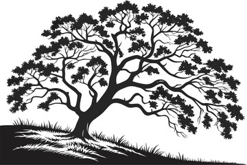 91 Black and white silhouette, majestic oak tree, sprawling branches, detailed foliage, symmetrical composition, strong contrast, intricate leaf patterns, wide trunk, grassy ground, serene landscape,  © Md Ruhul Amin