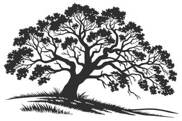 91 Black and white silhouette, majestic oak tree, sprawling branches, detailed foliage, symmetrical composition, strong contrast, intricate leaf patterns, wide trunk, grassy ground, serene landscape, 