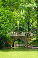 Ancient stone bridge over green river in lush summer forest