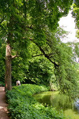 Peaceful riverside path in lush green forest with couple walking in summer
