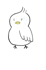 tupippi (つぴっぴ)