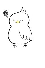 tupippi (つぴっぴ)