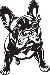 French bulldog. Hand drawn vector illustration	