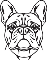 French bulldog. Hand drawn vector illustration	