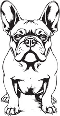French bulldog. Hand drawn vector illustration	