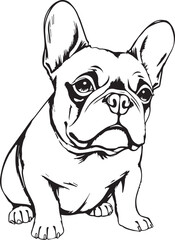 French bulldog. Hand drawn vector illustration	