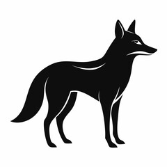 Fototapeta premium coyote silhouette isolated white background
