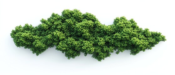 Obraz premium 3D world map in the shape of a dense green forest