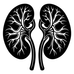 kidneys black color on white vector. 