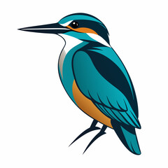 Obraz premium kingfisher silhouette isolated white background