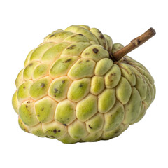 Fototapeta premium Fresh custard apple fruit isolated on a white background 