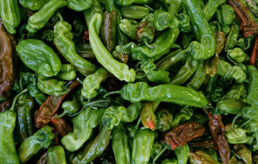Fresh green pepper pile background