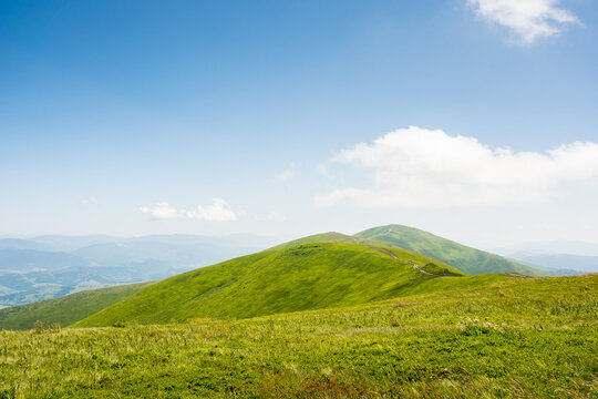 Fototapeta carpathian mountain landscape of ukraine in summer. panoramic highland. wonderful nature scenery of alpine grassy meadow and green hills on a sunny day under blue sky. popular travel destination