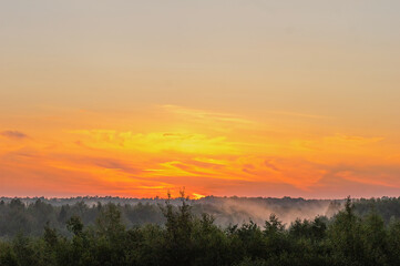 Orange sunset over forest with mist.