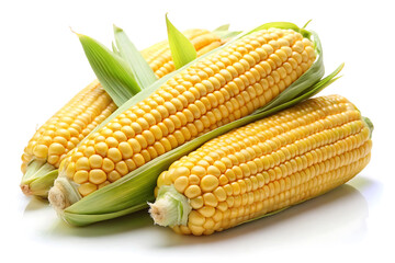 fresh corn image isolated on white