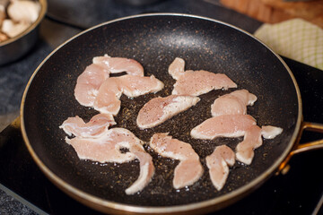 pan-fried chicken fillet
