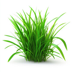 Fototapeta premium Lush vibrant green grass isolated on white background showcasing nature s beauty and freshness Clean bright image ideal