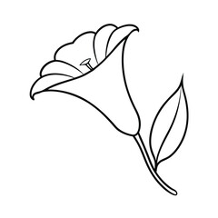 trumpet vine flower line art vector art illustration