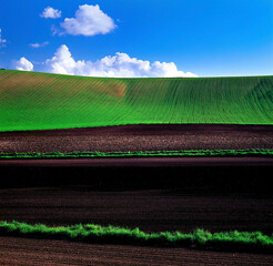 早春の丘と浮かぶ雲（上富良野町）