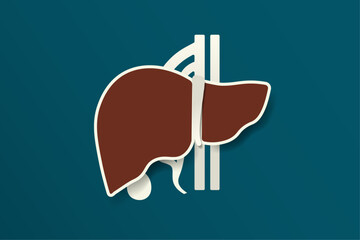 Red Liver anatomy illustration with gallbladder, aorta, inferior vena cava, and hepatic vein on colored background. Medical liver health template. Big copy space, no text. Vector.
