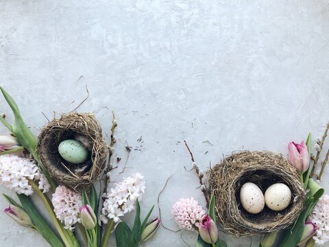Close-up overhead view of Easter eggs in bird's nests with hyacinths and tulips on a grey background 