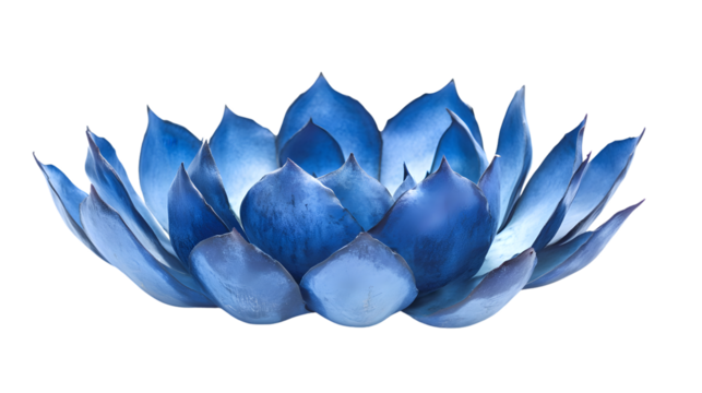 Sleek Blue Agave Plant on Transparent Background for Design Projects and Botanical Themes.