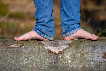 A person is walking barefoot on a fallen tree trunk in the woods, connecting with nature and...