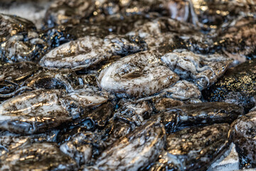 views around the city of Venice Italy