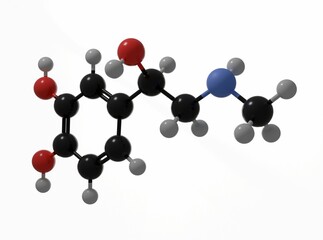 3D render of a molecular model of adrenaline, isolated on white background