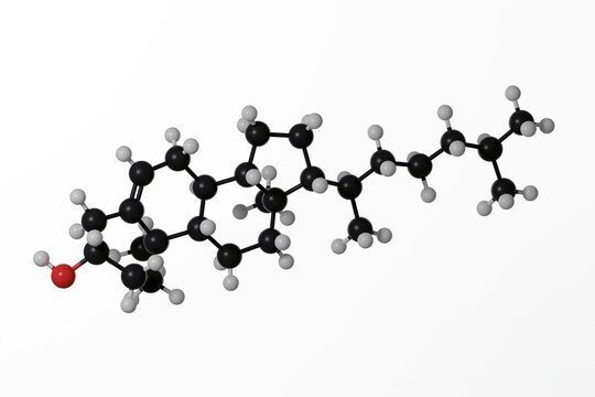 3d render of ball-and-stick molecular model of cholesterol on white background