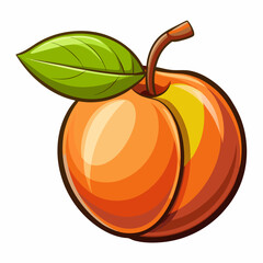 pumpkin isolated on white