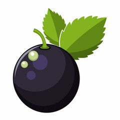 black currant with leaves vector