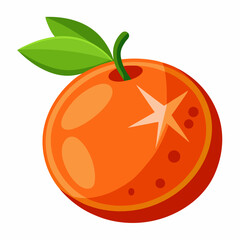 tomato on a white background